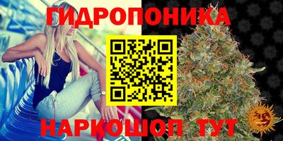 скорость Пугачёв