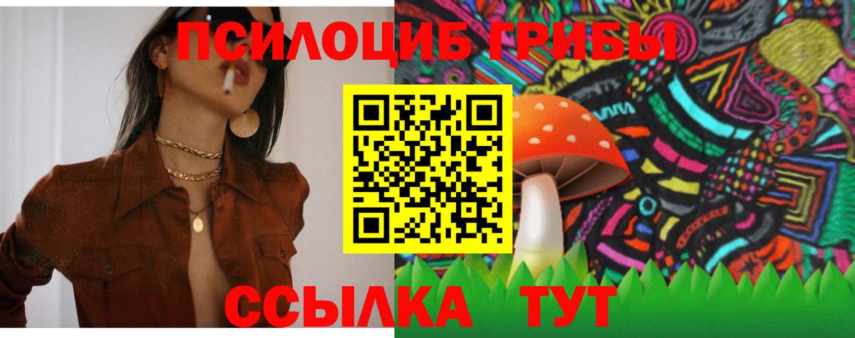 Псилоцибиновые грибы GOLDEN TEACHER  Псилоцибиновые грибы GOLDEN TEACHER  Полысаево  Вход с VPN 